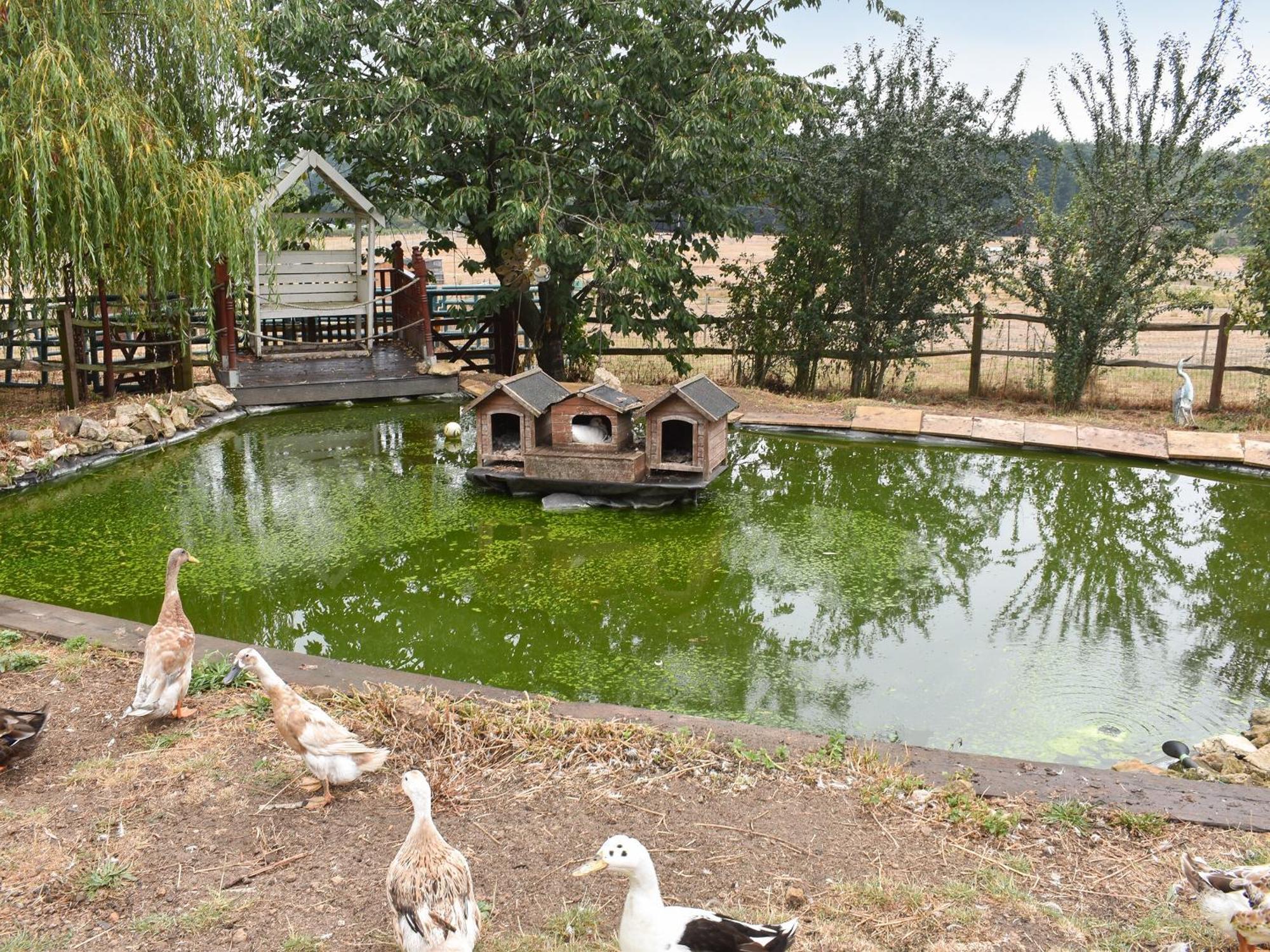 South Wing Coldharbour Park Farm Villa Rake Bagian luar foto