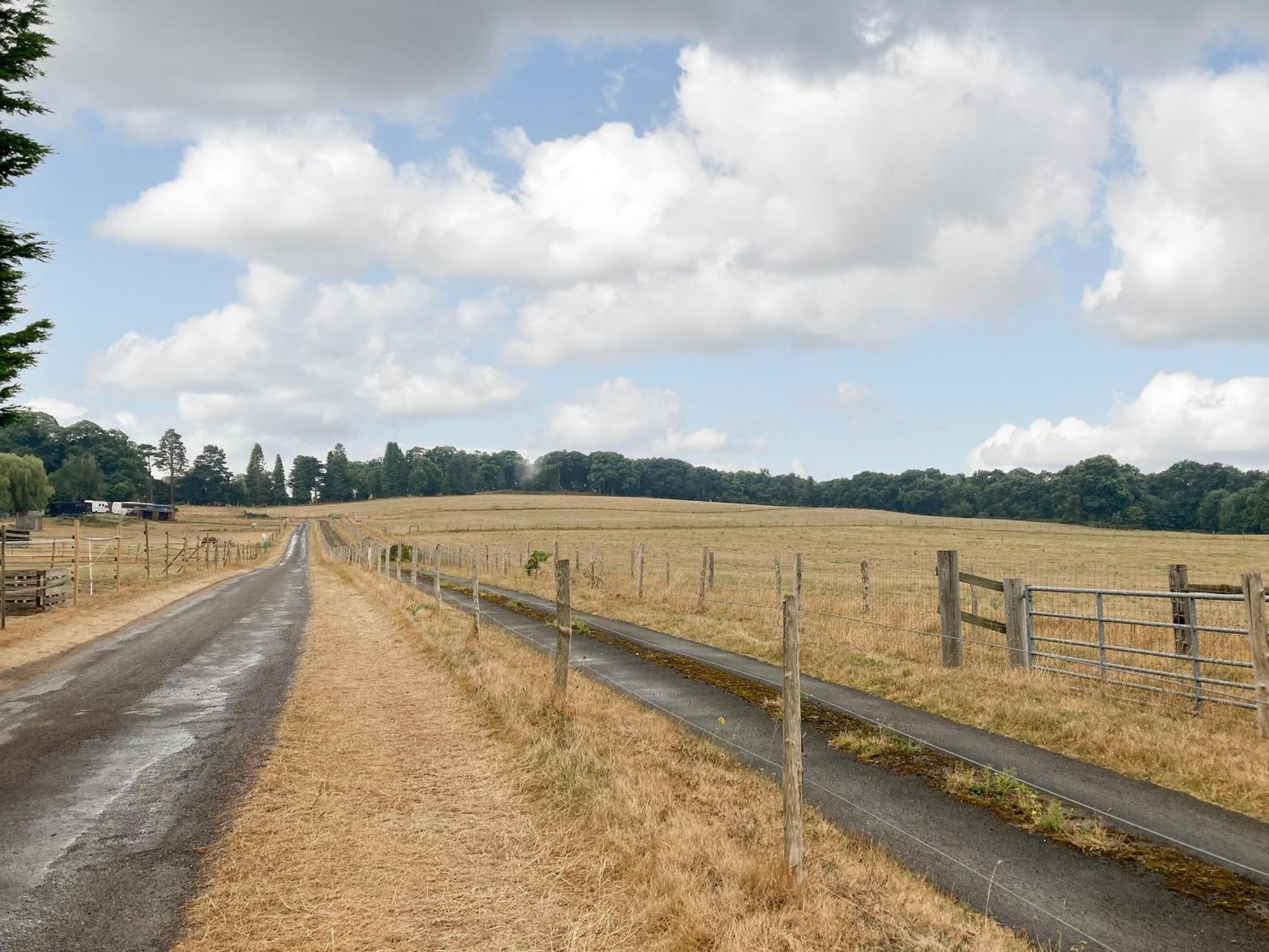 South Wing Coldharbour Park Farm Villa Rake Bagian luar foto