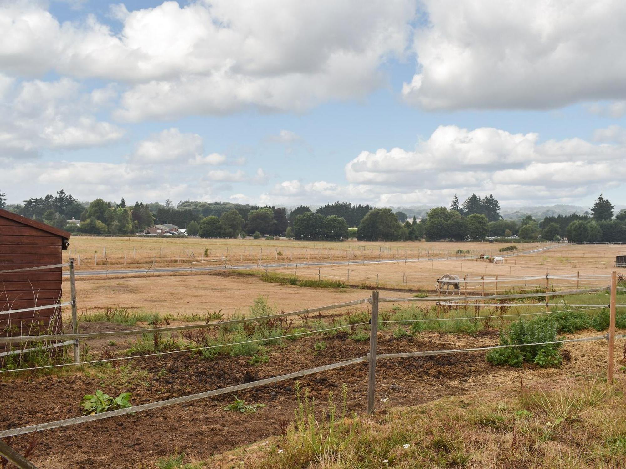 South Wing Coldharbour Park Farm Villa Rake Bagian luar foto